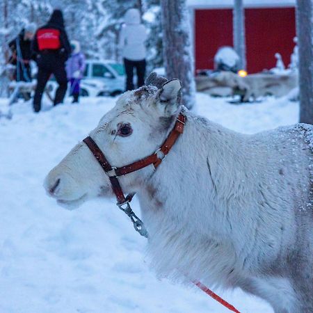 Skyfire Village Igloos Rovaniemi Esterno foto