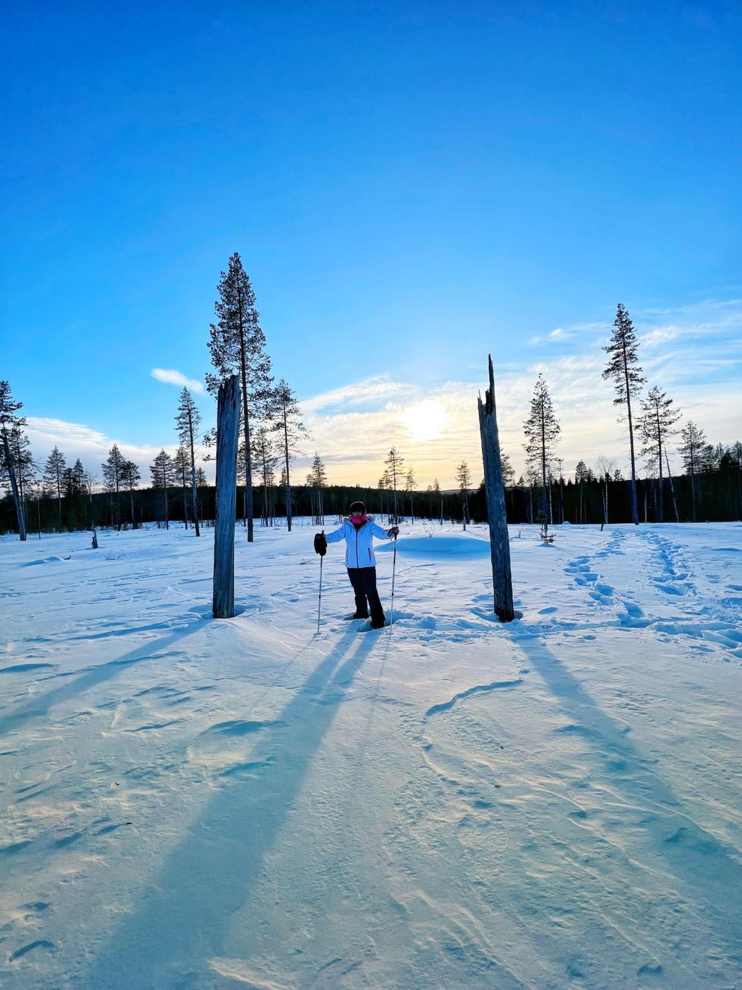 Skyfire Village Igloos Rovaniemi Esterno foto