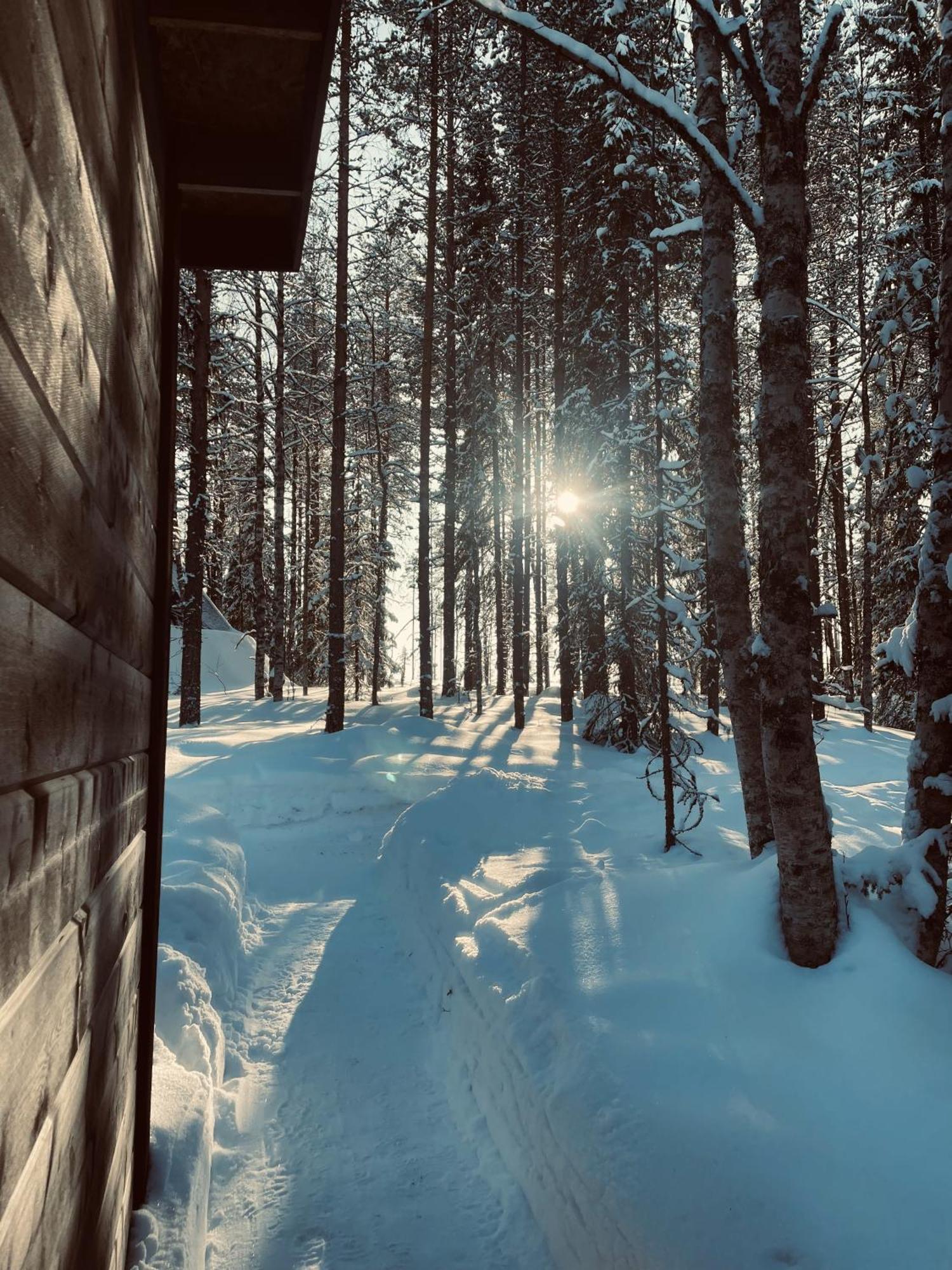 Skyfire Village Igloos Rovaniemi Esterno foto