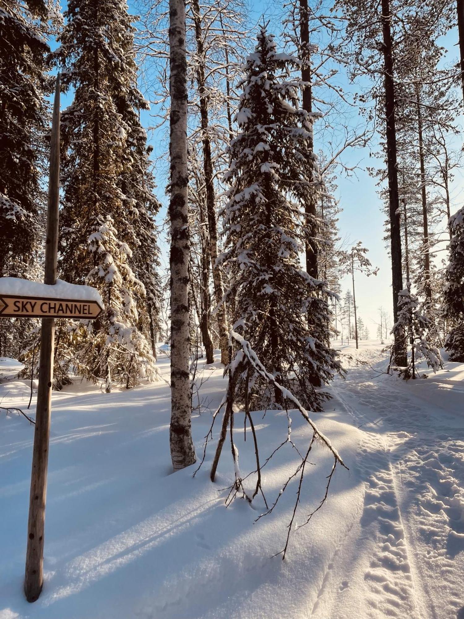 Skyfire Village Igloos Rovaniemi Esterno foto