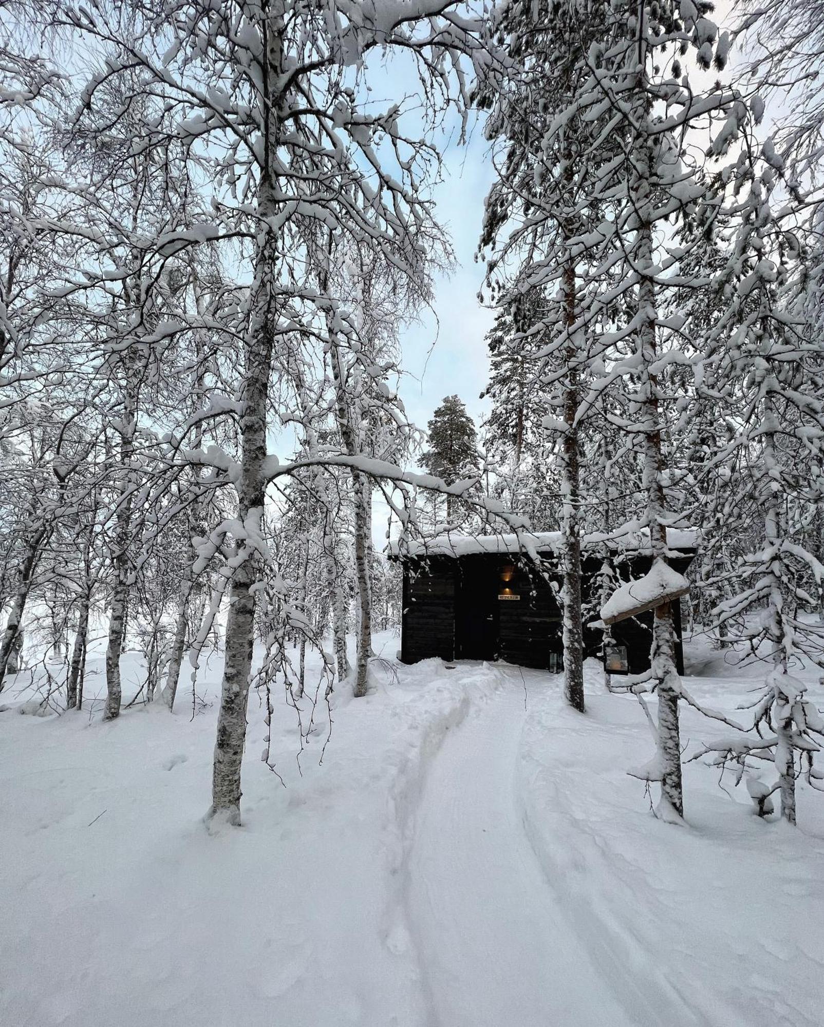 Skyfire Village Igloos Rovaniemi Esterno foto